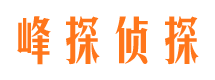 桃山捉小三公司